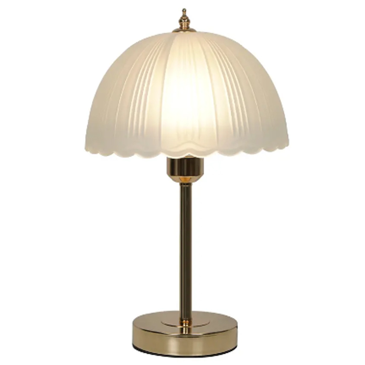 Жетекші жарықтандыруды қазіргі заманғы жарықтандырудың болашағы не дейді?